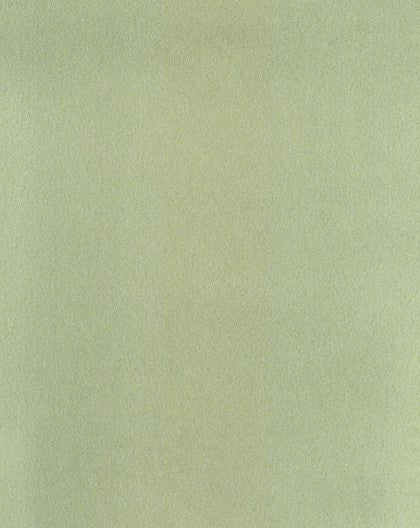 Italian velvet upholstery fabric ( Cool Hazel)